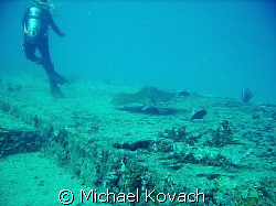 Diver and Southern Atlantic Ray on the Sea Emperor by Michael Kovach 